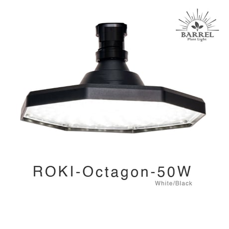ROKI-OCTAGON-50W