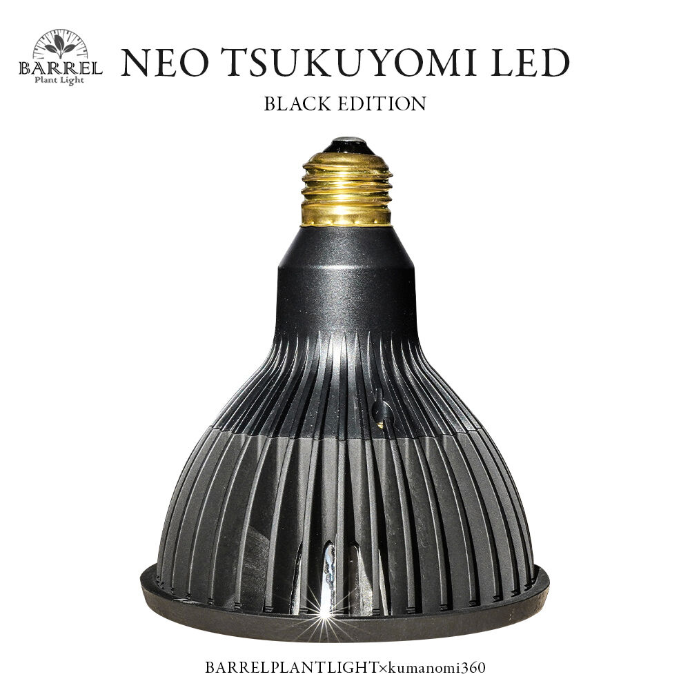 NEO TSUKUYOMI LED 20W BLACK EDITION | STELLA.PL