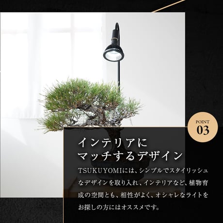 NEO TSUKUYOMI LED 20W BLACK EDITION