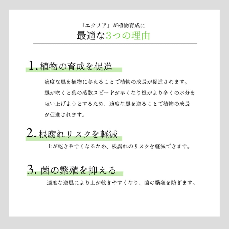 AECHMEA MOVE(エクメアムーブ)】ブラック首振りファン AECHMEA MOVE(エクメアムーブ)】ブラック首振りファン