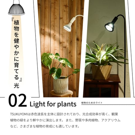 NEOTSUKUYOMI LED 20W White