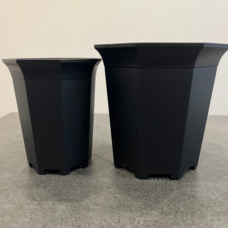 八角形の鉢 八四角プラ鉢(八角型底四角鉢)-2.5号-小＠フラワーショップ江口