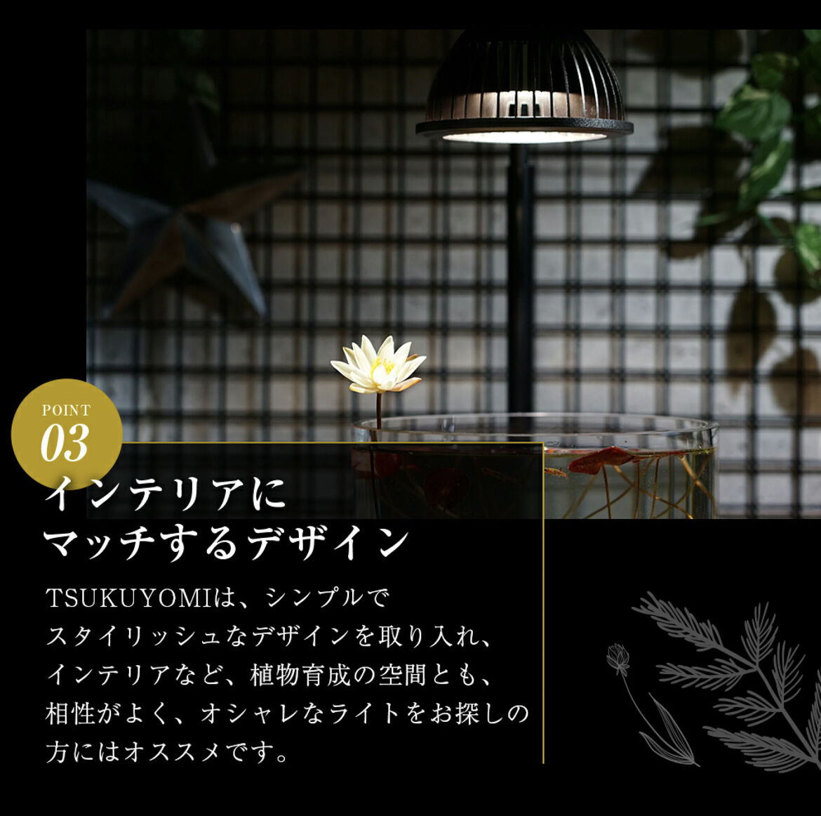 TSUKUYOMI LED 20W】植物育成ライト ツクヨ20W | STELLA.PLANTS