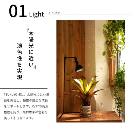 NEOTSUKUYOMI LED 20W White