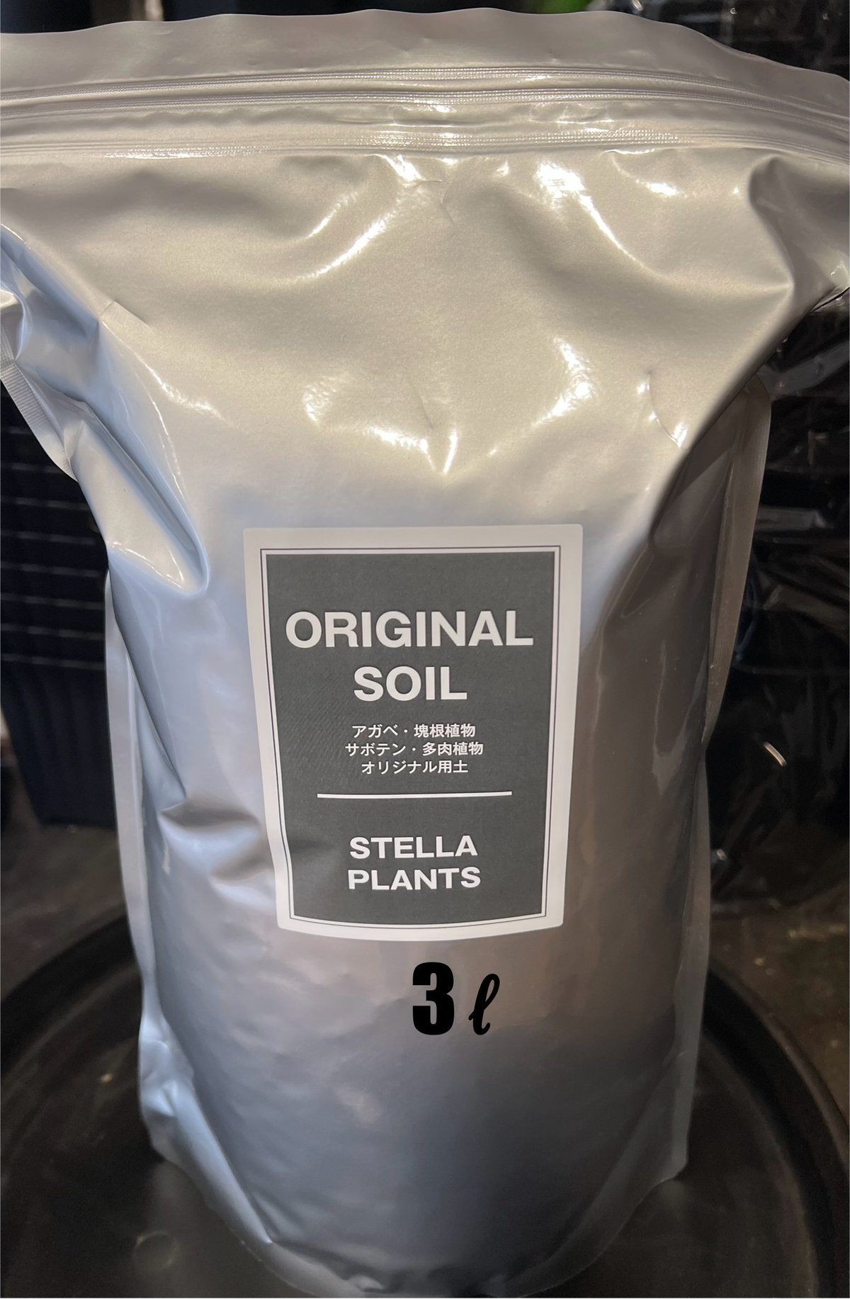 Top【選抜株】多肉植物 19453スター プラス 55個 鉢無し/脱土 Top
