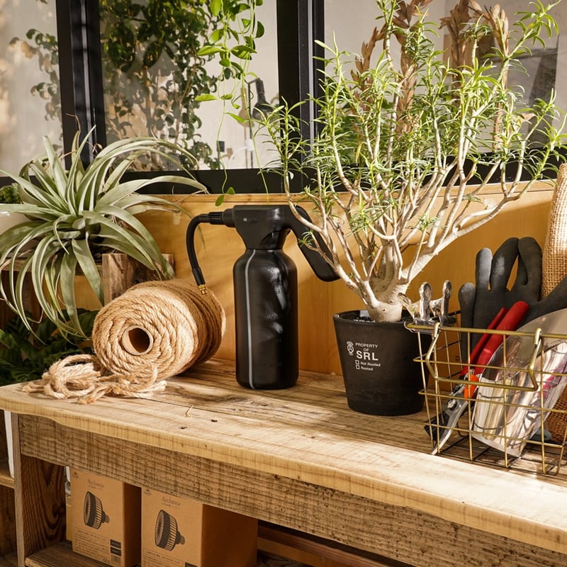 GREEN THUMBERS SPRAY | STELLA.PLANTS