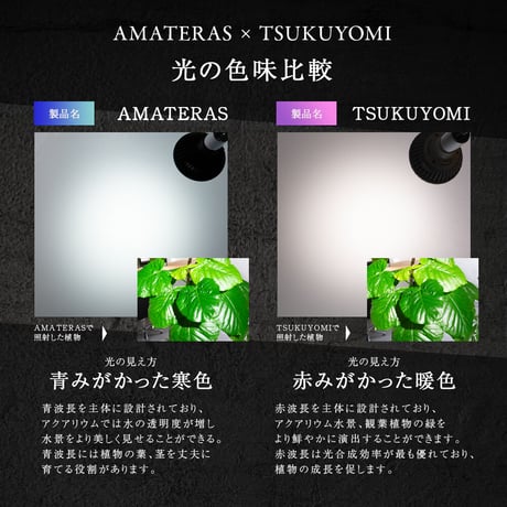 NEO TSUKUYOMI LED 20W BLACK EDITION