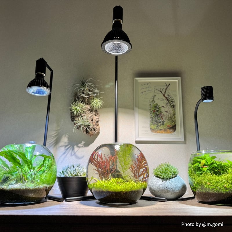 AKONDアコンスタンド ブラック ホワイト 74cm | STELLA.PLANTS