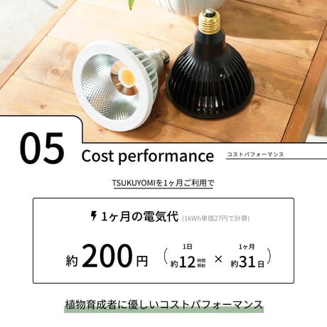 NEOTSUKUYOMI LED 20W White