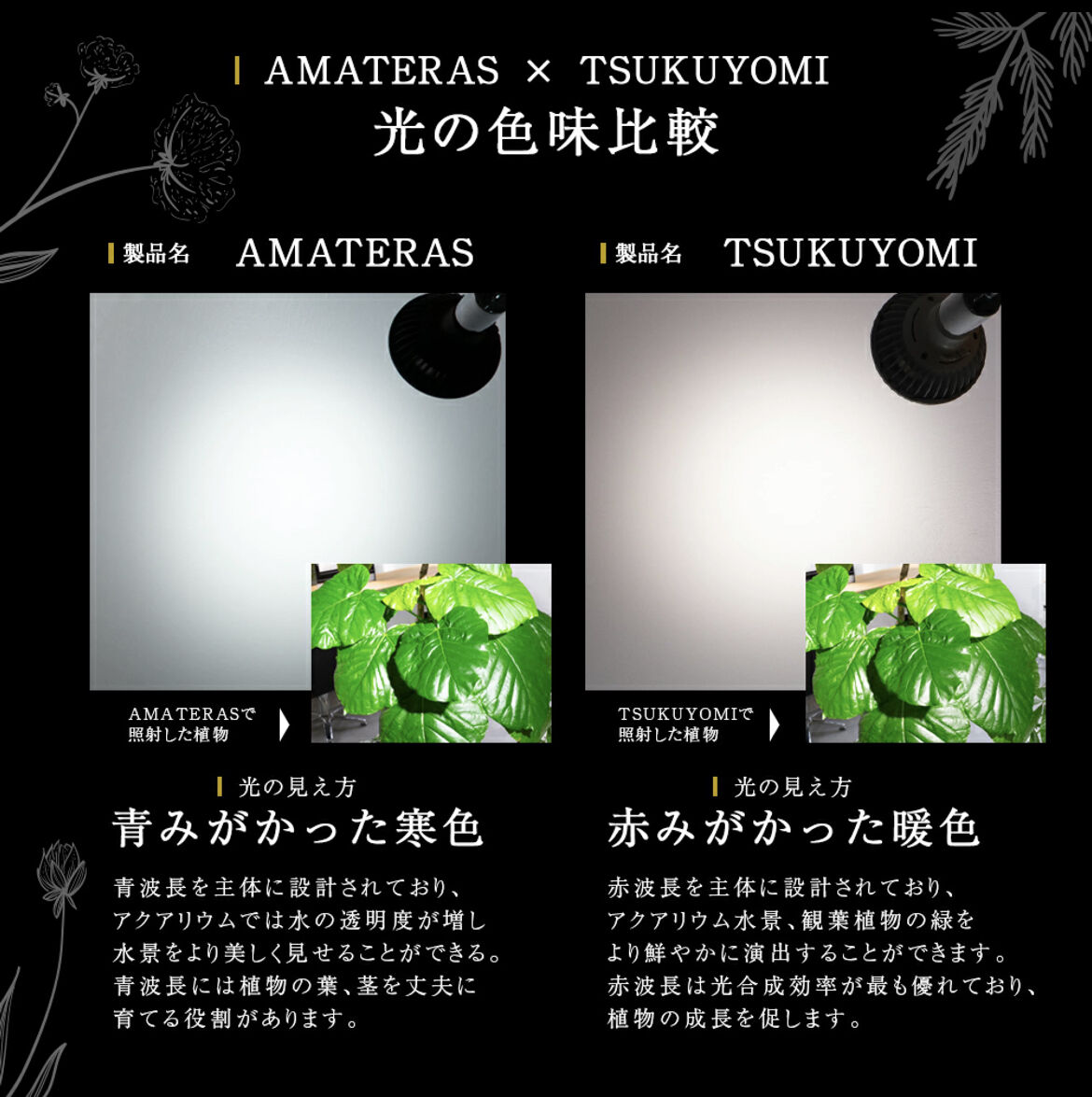 TSUKUYOMI LED 20W】植物育成ライト ツクヨ20W | STELLA.PLANTS TSUKUYOMI LED 20W】植物育成ライト ツクヨ20W | STELLA.PLANTS
