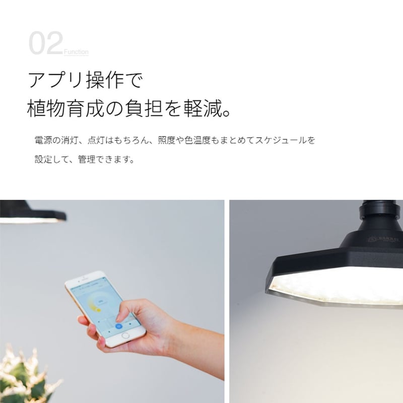 ROKI-OCTAGON-50W | STELLA.PLANTS