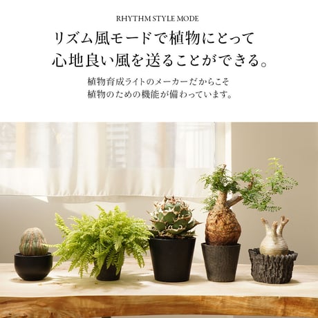 BARREL 小型送風機 植物育成 AECHMEA エクメア マットホワイト