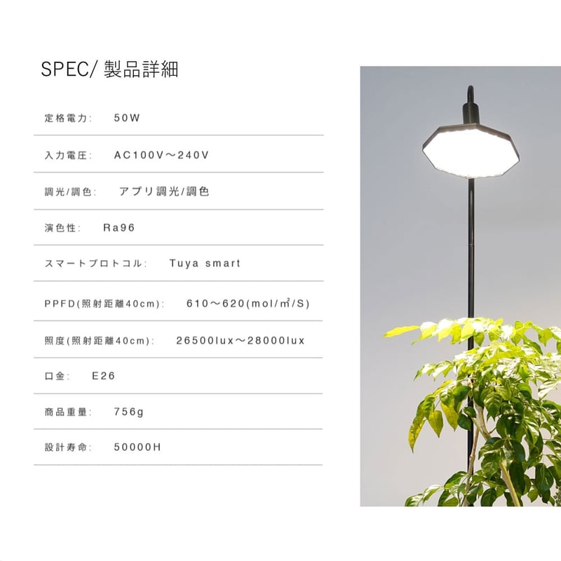 ROKI-OCTAGON-50W | STELLA.PLANTS