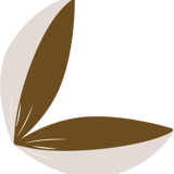 Lily Latte Shop