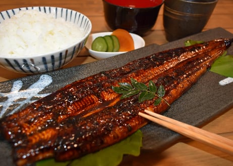 国産手焼きうなぎ蒲焼き　4尾