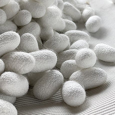 Sericin 腹巻き  グレー