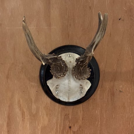 樹脂製ハンティングトロフィー　ヴィンテージ風ハンティングトロフィー　オブジェ ハンティング・トロフィー