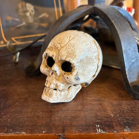 ビンテージスカル | STORES