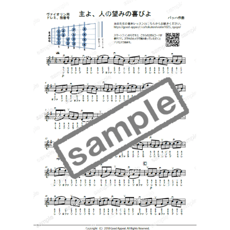 【バイオリン】主よ人の望みの喜びよ（バッハ）初級　お手本演奏付き