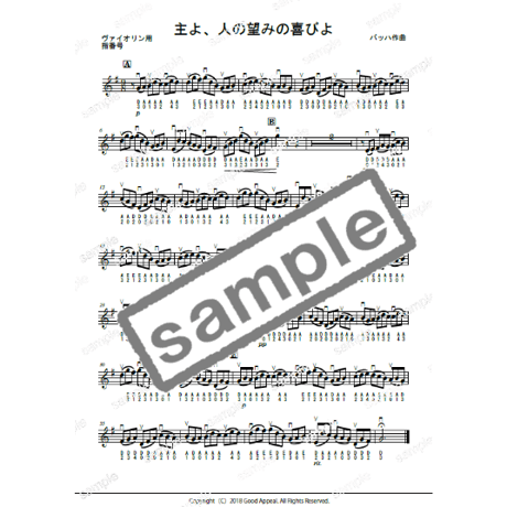 【バイオリン】主よ人の望みの喜びよ（バッハ）初級　お手本演奏付き