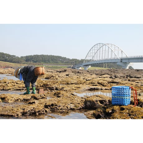 【送料込み】五島ノ魚醤 小値賀島セット／factory333