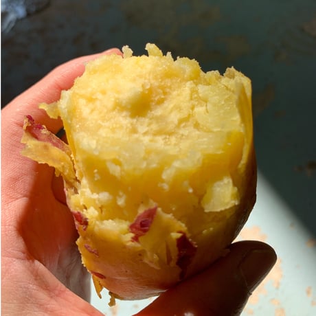 【焼酎2本セット（箱付き）】越鳥南枝 原酒 36度・越鳥南枝 28度／五島灘酒造