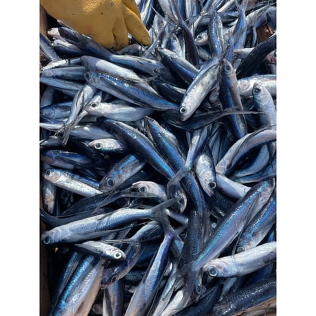 焼あご（100g）／新魚目町漁業協同組合