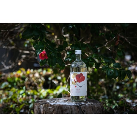 【焼酎（麦）】五島椿 720ml（化粧箱入り）／五島列島酒造