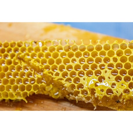 五島列島産日本ミツバチ蜂蜜「蒼の雫」220g／蒼い森の工房