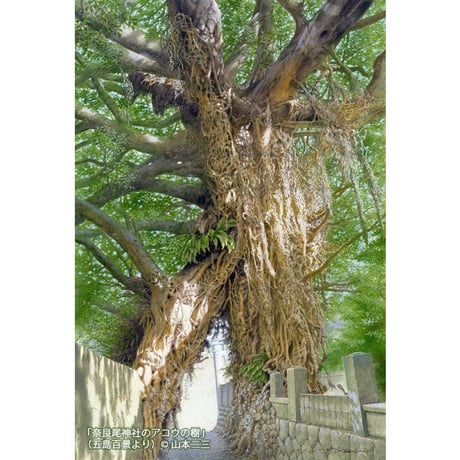 【送料込み】【書籍】山本二三「五島百景 画集」／山本二三美術館