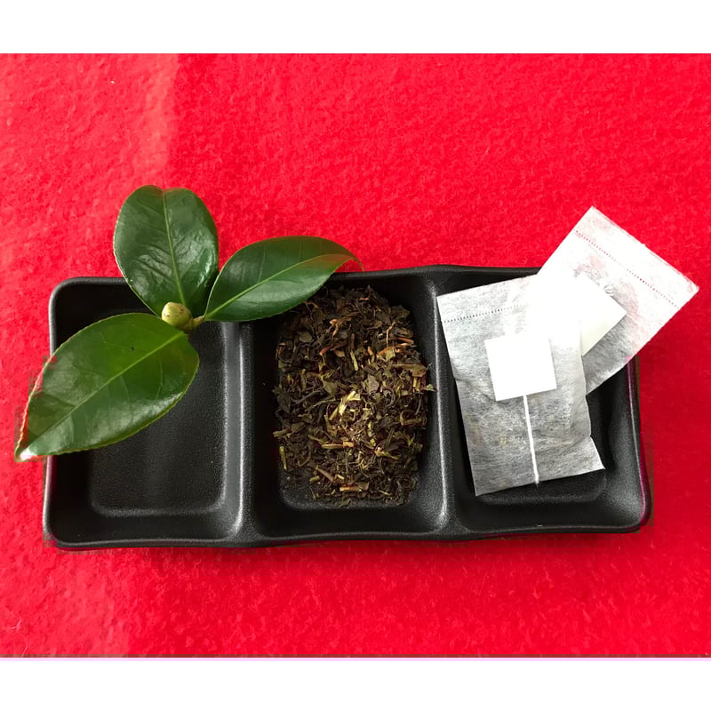 送料全国一律】五島つばき茶（1g×90パック）／グリーンティ五島 | 五島