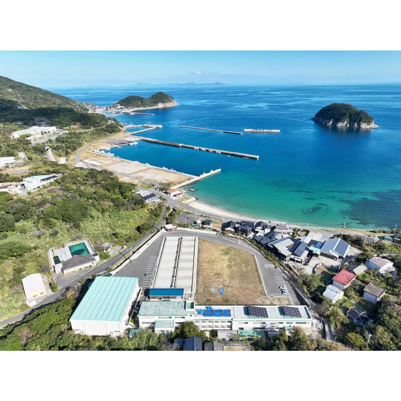 BSCI】FX Cream／ブルーサイエンティフィック新上五島 | 五島