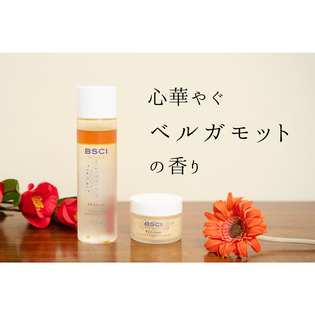 ＣＱ3.クリーム BSCI】FX Cream／ブルーサイエンティフィック新上五島 | 五島