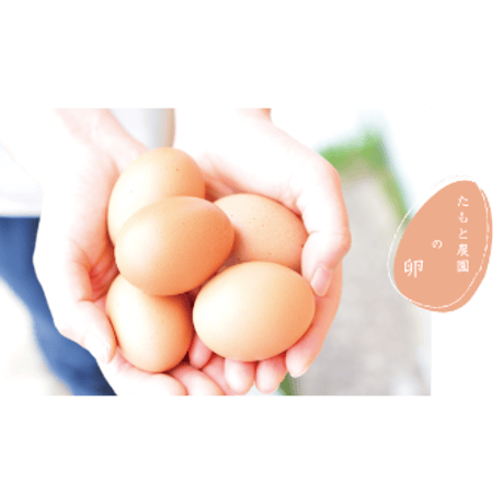 【冷凍】五島列島チーズケーキ 塩あんのう／虎屋