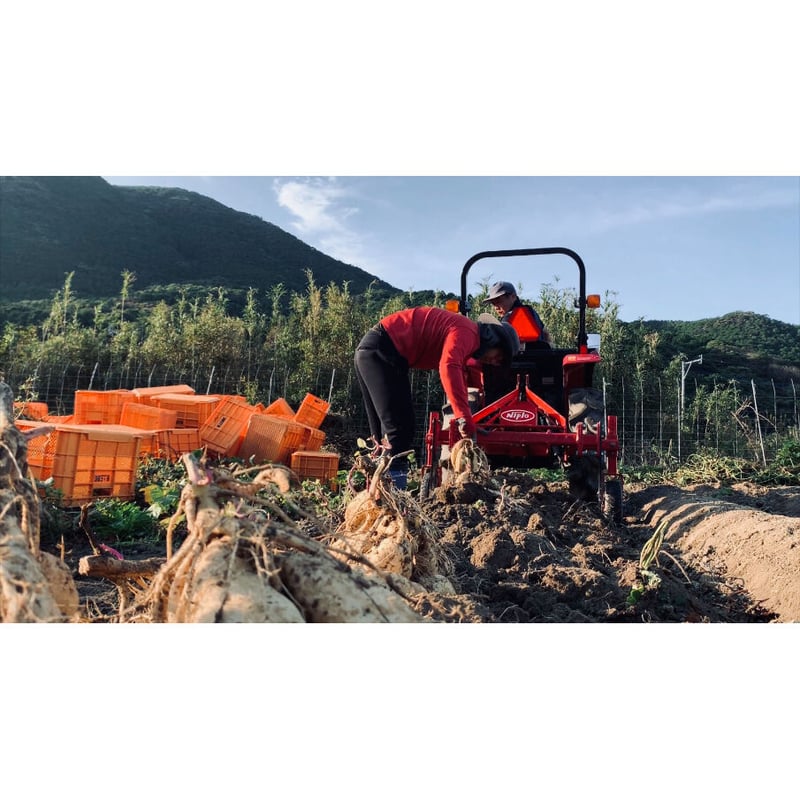 焼酎】越鳥南枝 原酒 36度 720ml（化粧箱入り）／五島灘酒造 | 五島