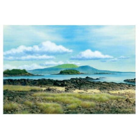 【送料込み】山本二三「五島百景」クリアファイル（2種）＆ポストカード（6種）セット／山本二三美術館