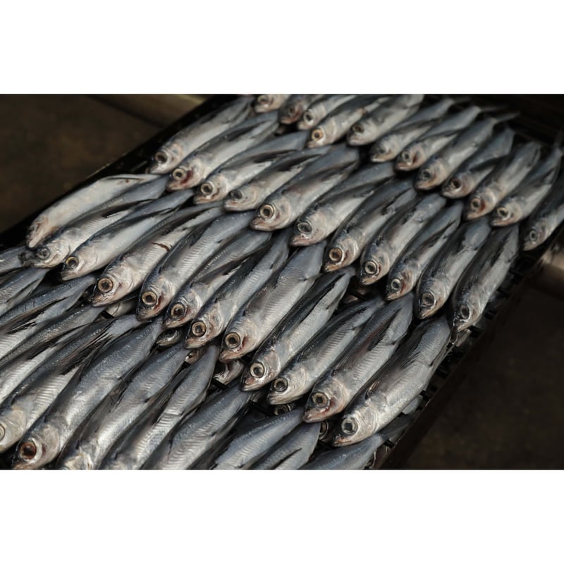 あご（飛魚）す～ぷ（5g×4包）／新魚目町漁業協同組合 | 五島