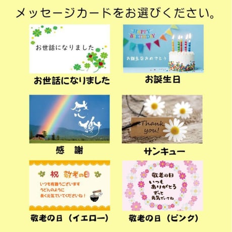 【冷蔵】【プリン】ごとうで食べる塩プリン6個入りセット（プレーン3個・かんころ味3個）／虎屋