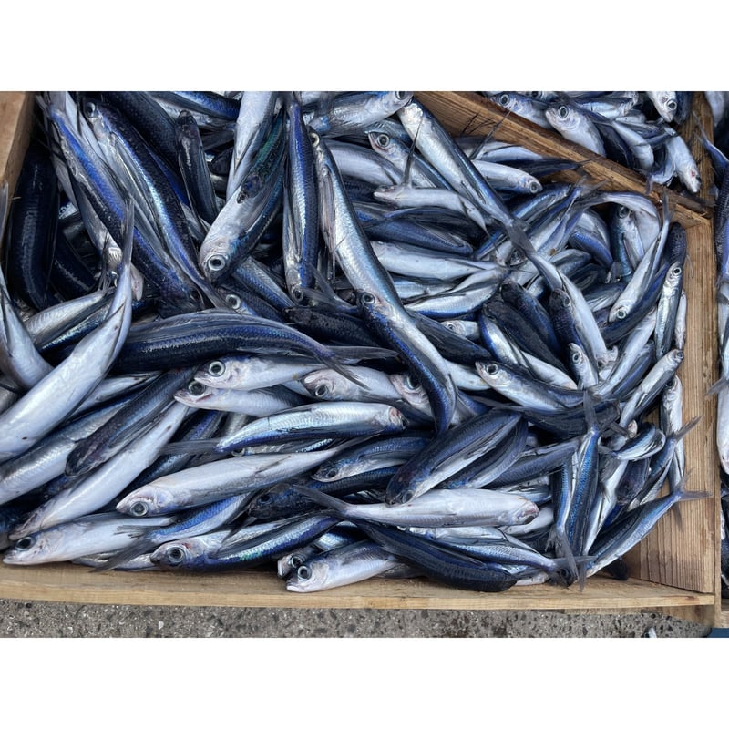 ★今年も到来五郎八★列島【武蔵/飛騨/尾張/越後の國】至福の逸品!!（送料込） 冨嶽三十六景 撰 北斎一福/東あられ本鋪【公式通販】