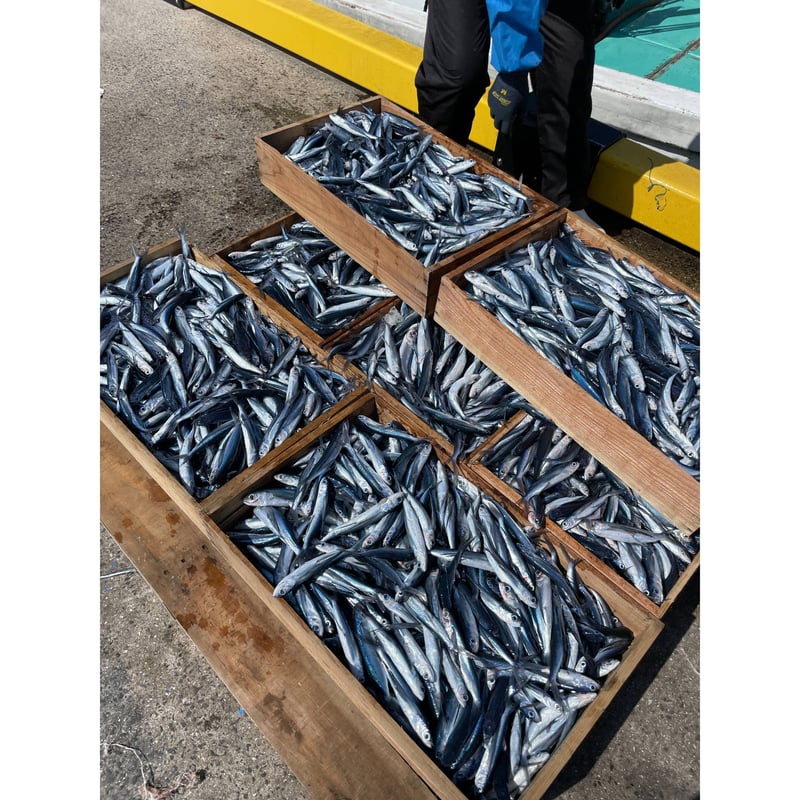 五島あごじまん（10g×8包）／新魚目町漁業協同組合 | 五島列島