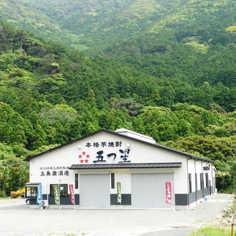 【焼酎】越鳥南枝 28度 720ml（化粧箱入り）／五島灘酒造