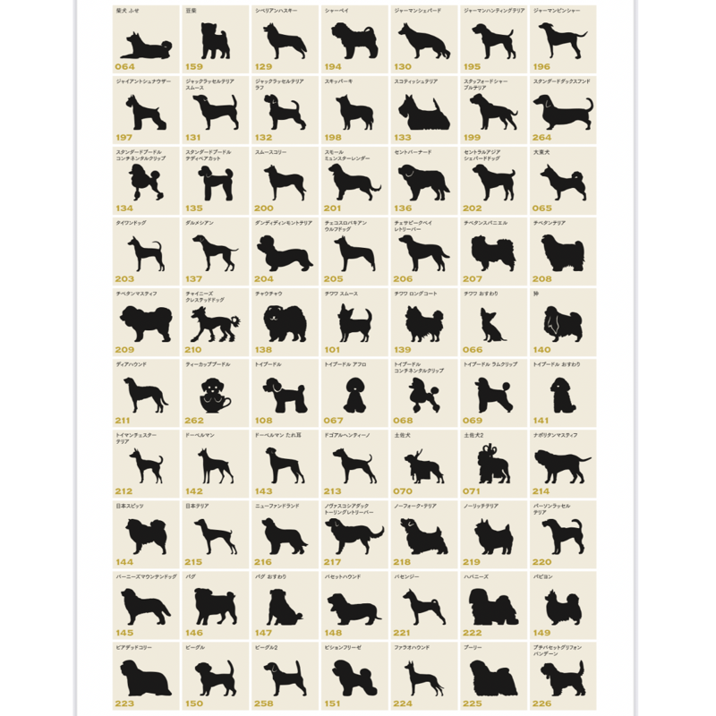 beans迷子札(☆印 3種 ウッドナチュラル・ウッドダークブラウン