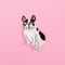 Coucou Suzette / Bulldog Hair Clip (ブルドッグ)