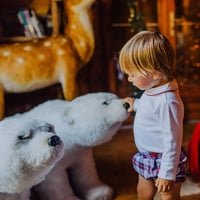 Beatrice ＆ Bee / Tartan Baby ＆ Kids Bloomers