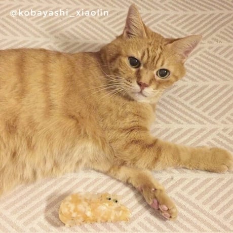 Coucou Suzette / Ginger Cat Hair Claw (茶トラ猫）