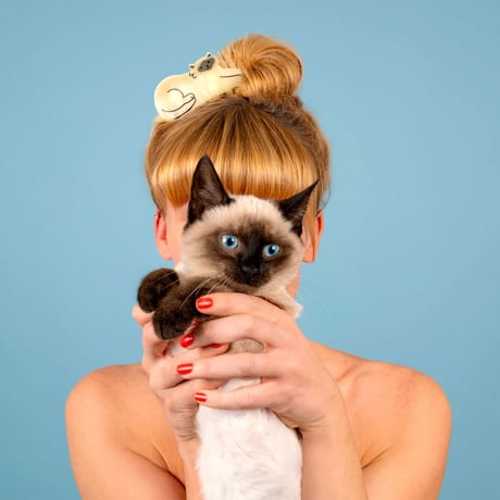 Coucou Suzette / Siamese Cat Hair Claw (シャム猫)