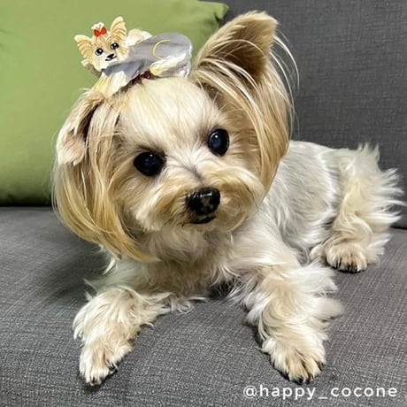 Coucou Suzette / Yorkshire Hair Claw (ヨークシャーテリア）