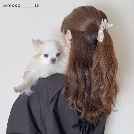 Coucou Suzette / Chihuahua Hair Claw (チワワ)