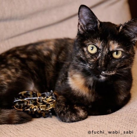 Coucou Suzette / Tortoiseshell Cat Hair Claw (サビ猫)