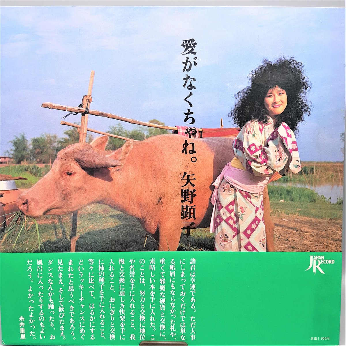 矢野顕子 愛がなくちゃね JAL-1801 | CARNABYSQUARE